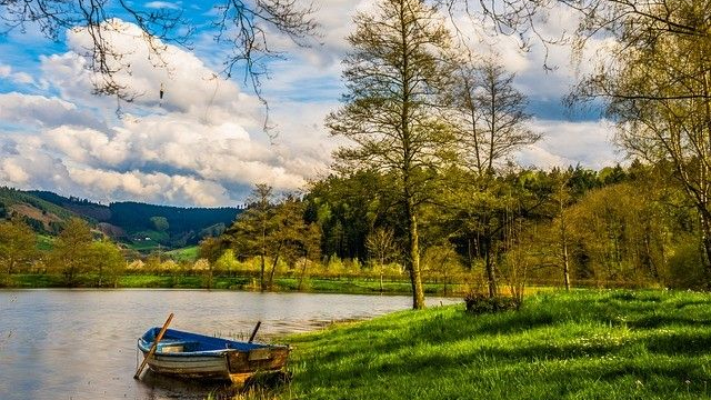 natura Jezioro Piaseczno