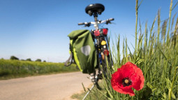 trasy rowerowe w Bukowinie Tatrzańskiej