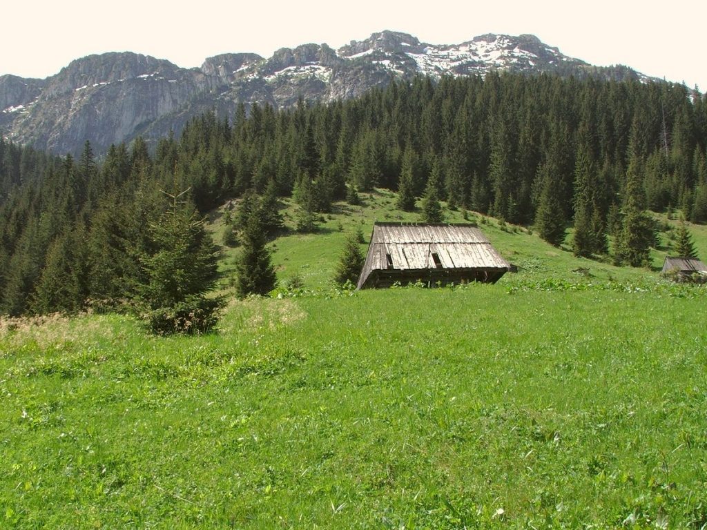 1200px Niznia Polana Kominiarska a1 1024x768 - Tatry Zachodnie - 5 miejsc bez tłumów w Tatrach