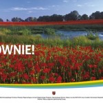 cudownie1 150x150 - Międzynarodowy turniej rycerski w Byczynie