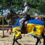 rycerz 150x150 - XXII Festiwal Szekspirowski - Sztuka przez duże "S"