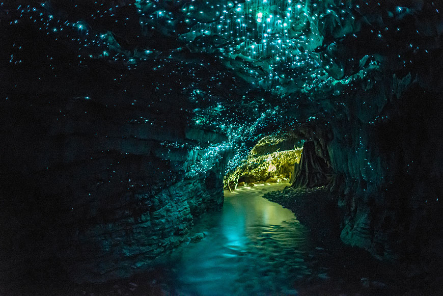 Jaskinia Glowworm - Miejsca, które wyglądają jak z bajki
