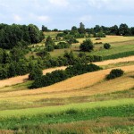 roztocze 150x150 - Czy jadąc na urlop w Polsce, powinieneś kupić ubezpieczenie turystyczne? Sprawdź i kup online ubezpieczenie wyjazdu