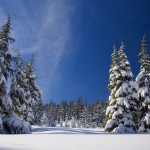 snow 1902052 1280 150x150 - V Rajd Rowerowy "Śladami górnośląskiej szlachty i nie tylko" w miejscowości Nakło Śląskie