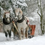 kulig 150x150 - Święta i dni wolne 2023 - jak zaplanować urlop?