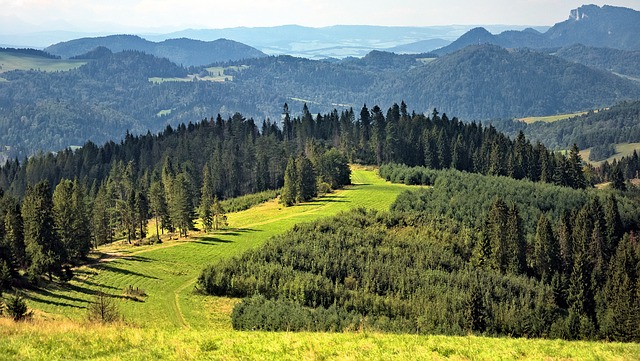 pieniny - Gdzie wypocząć w górach poza Tatrami?