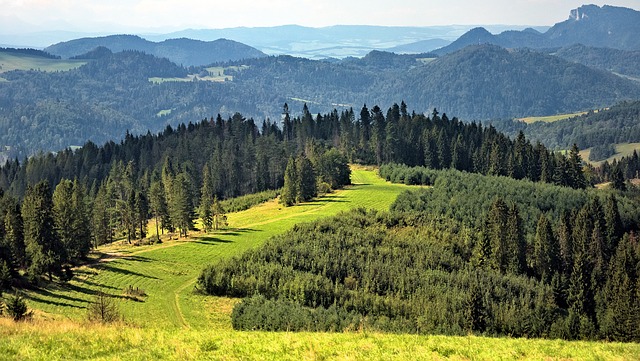 Gdzie wypocząć w górach poza Tatrami? pieniny - Gdzie wypocząć w górach poza Tatrami?