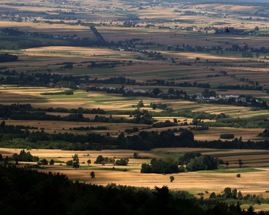 fields 1215528 1920 1024x819 - Góry Świętokrzyskie - co warto zobaczyć i zwiedzić?