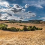 Agroturystyka w Polsce 150x150 - Przystanek Woodstock - żywa legenda