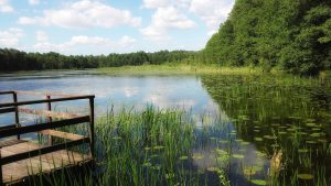 lake 2419152 1920 300x169 - Pojezierza w Polsce - raj dla miłośników natury