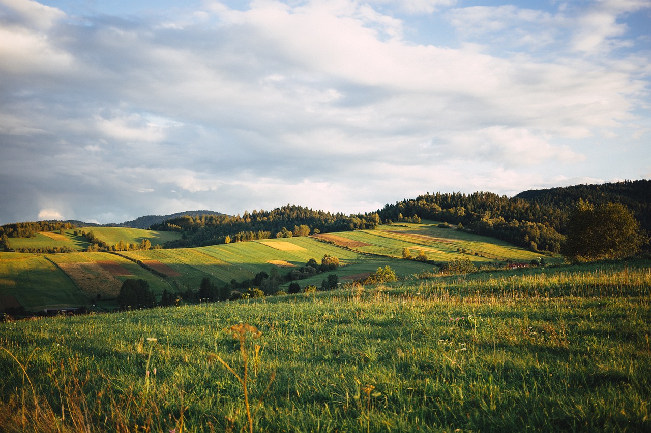 nature 2940925 1280 - Gdzie spędzić wakacje 2018 w górach?