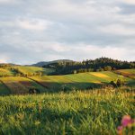 freestocks org 425054 unsplash 150x150 - Gdzie wybrać się na ferie? Przegląd najpiękniejszych górskich noclegów.