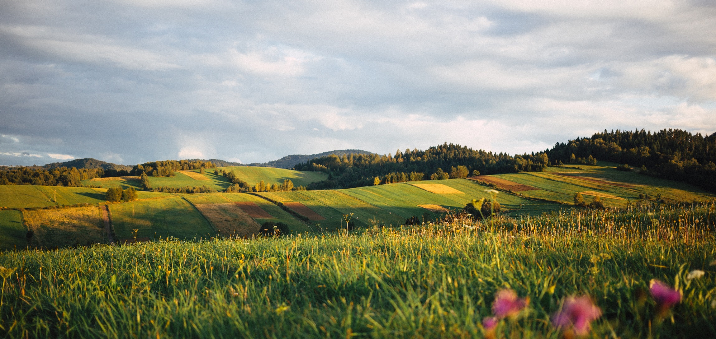 Góry Sowie i Góry Stołowe - skarby Polski, które musisz zobaczyć - Blog