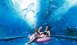 park wodny reda z rekinami opinie 515x300 300x175 - Top 5 najlepszych aquaparków w Polsce - sprawdź najlepsze miejsca dla fanów wodnych atrakcji