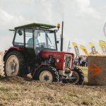 36064036 10157525876498989 4398289838181187584 o 150x150 - Festiwal Światła w Międzyrzeczu - najbardziej kolorowe wydarzenie w lubuskim