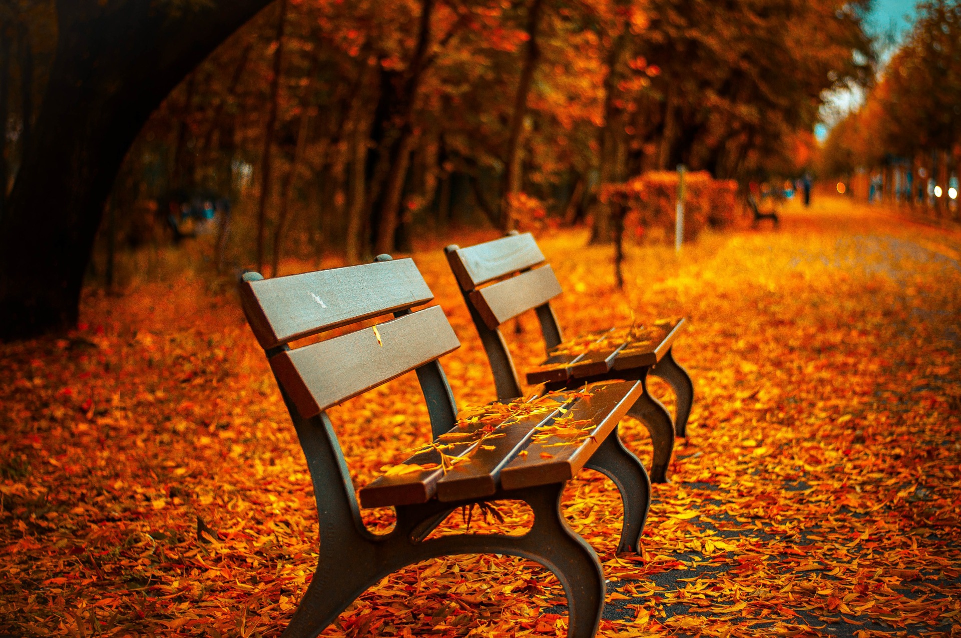 Wycieczka od Krakowa aż pod Babią Górę bench 560435 1920 - Wycieczka od Krakowa aż pod Babią Górę