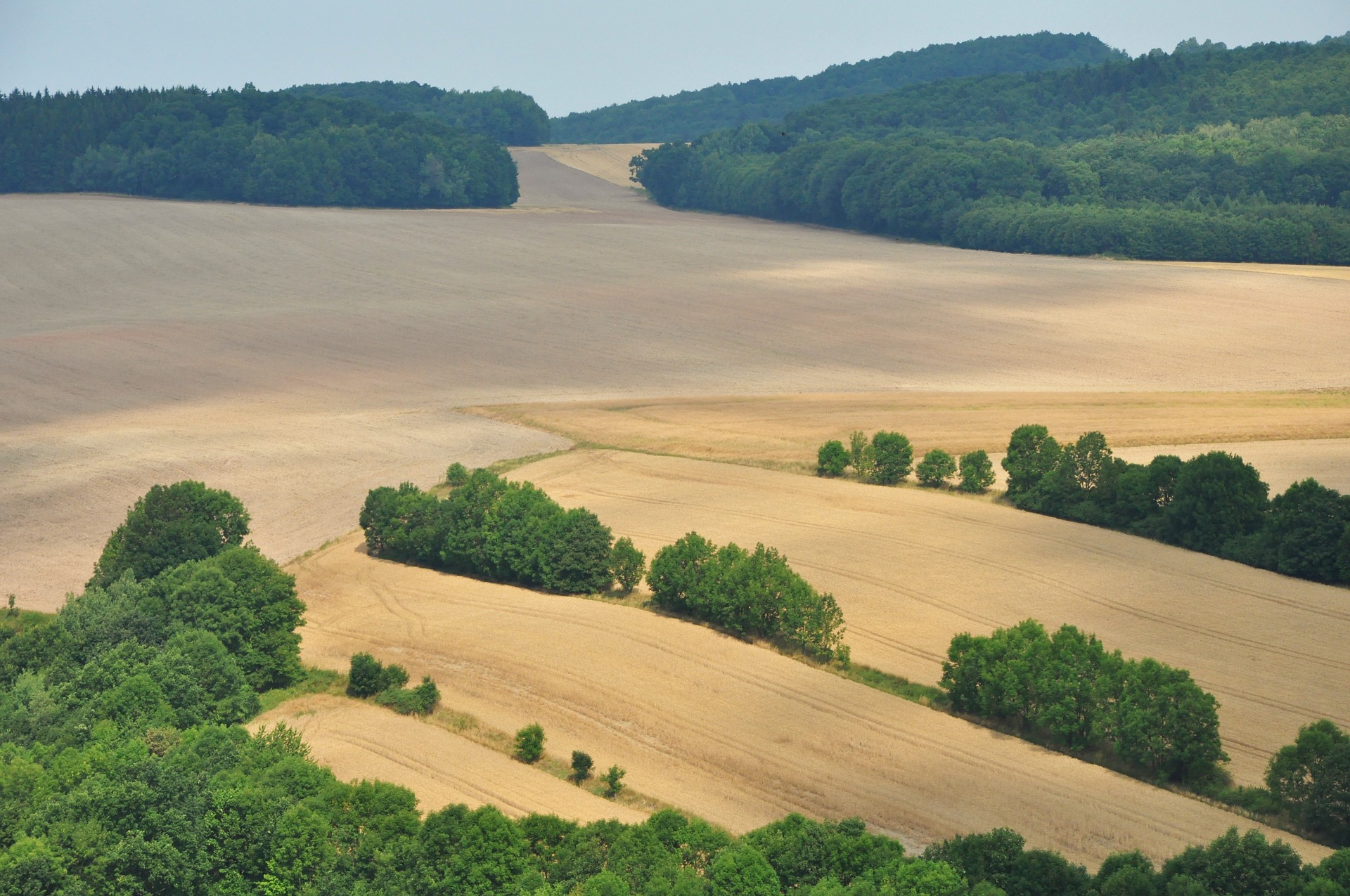 field 866444 1920 1 - Gdzie jechać na Dolnym Śląsku? Sprawdź!