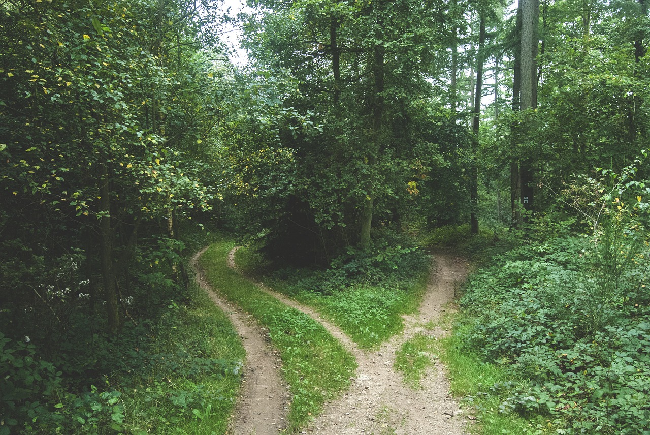 strzelno - Odkryj nieznane piękno Rozewia