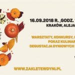 41084806 1816418365102470 3426126593481768960 n 1 150x150 - Jak przygotować się do jesiennych wypraw rowerowych?