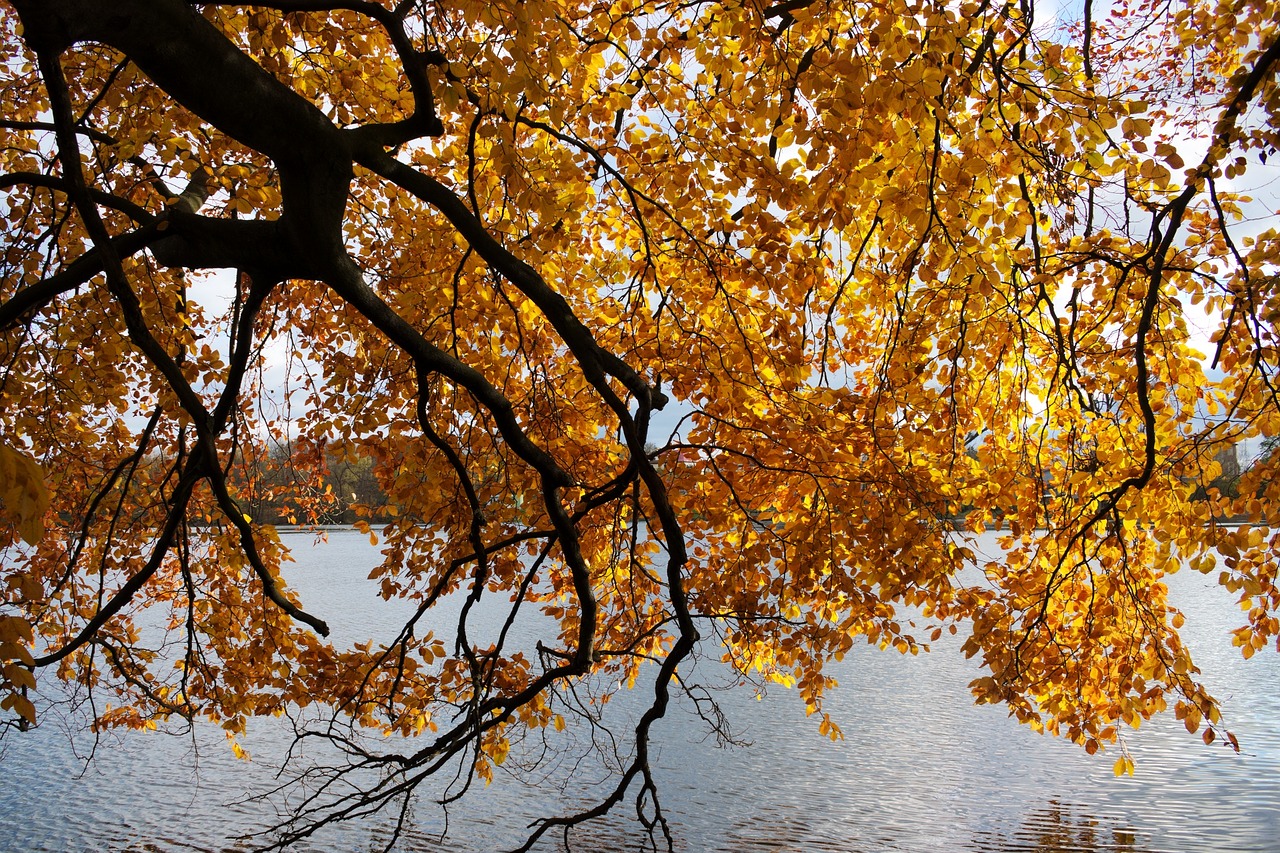 autumn 1825753 1280 - Piękne miejsca na Pomorzu, które musisz odwiedzić