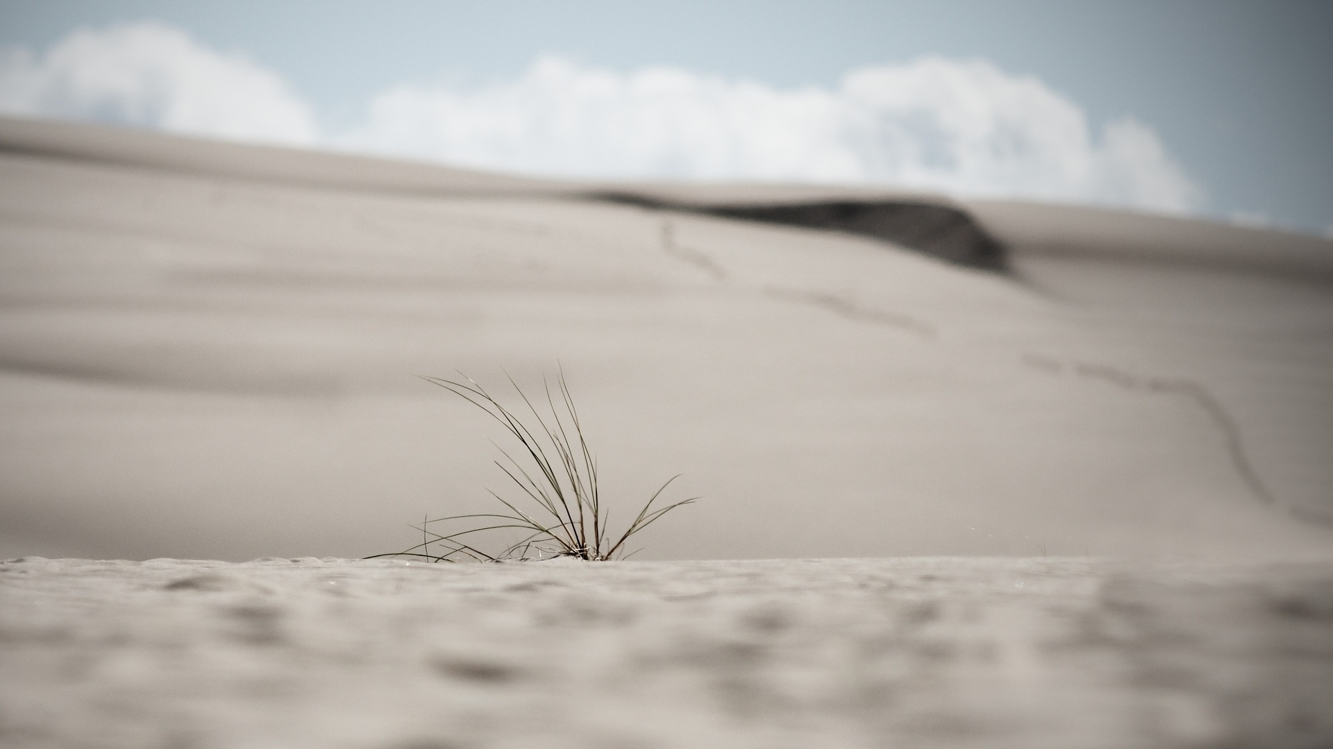 dunes 3580666 1920 - Najlepsze miejsca na zachodnim Wybrzeżu Bałtyckim