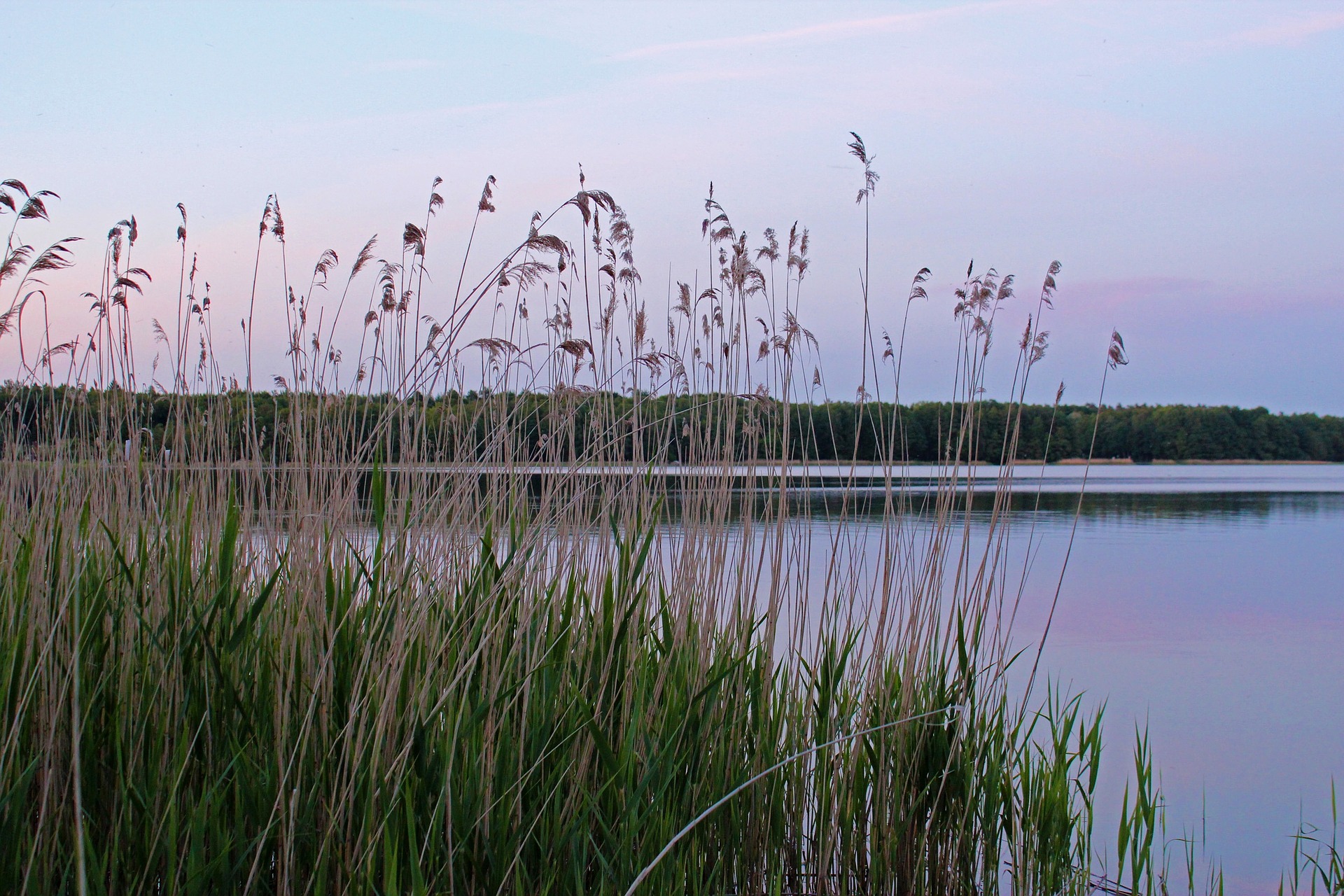 lake 194738 1920 - Piękne miejsca na Pomorzu, które musisz odwiedzić