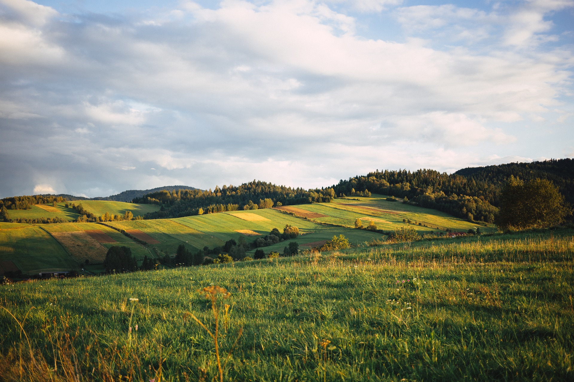 nature 2940925 1920 1 - Podkarpacie i jego 4 urocze wsie - Cisna, Rakszawa, Myczkowce, Krasiczyn