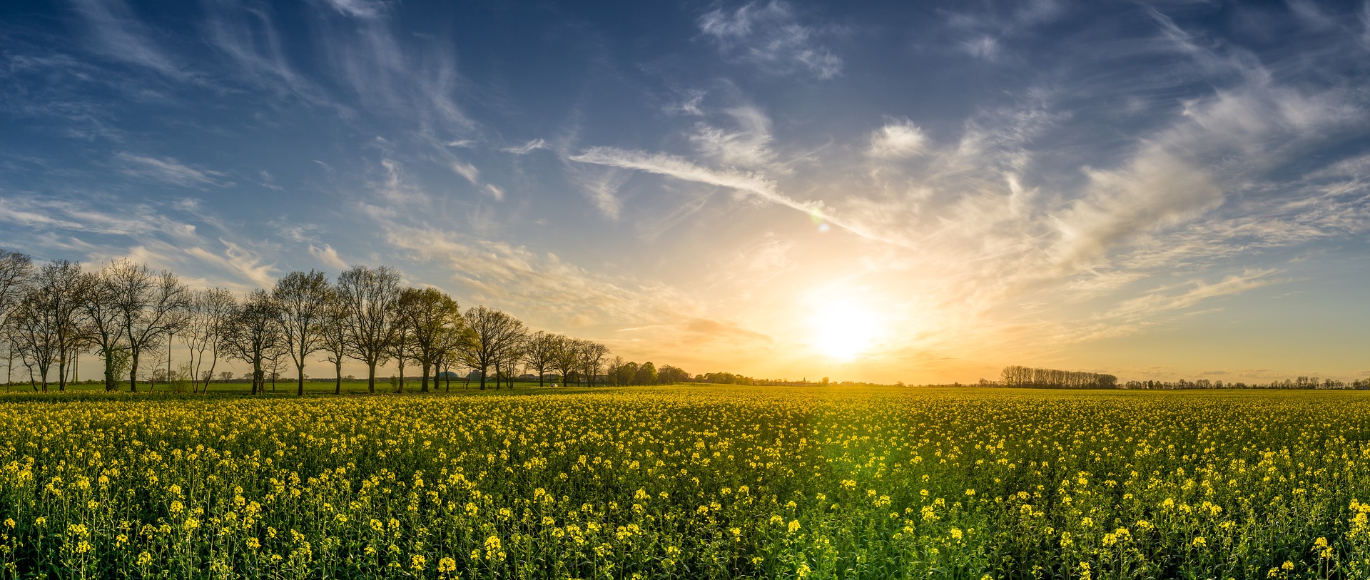 oilseed rape 2135026 1920 - Nad morzem i na wsi - 6 miejscowości, które idealnie definiują wypoczynek