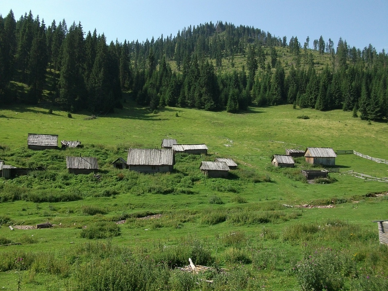 romania 643655 1280 - Podkarpacie i jego 4 urocze wsie - Cisna, Rakszawa, Myczkowce, Krasiczyn