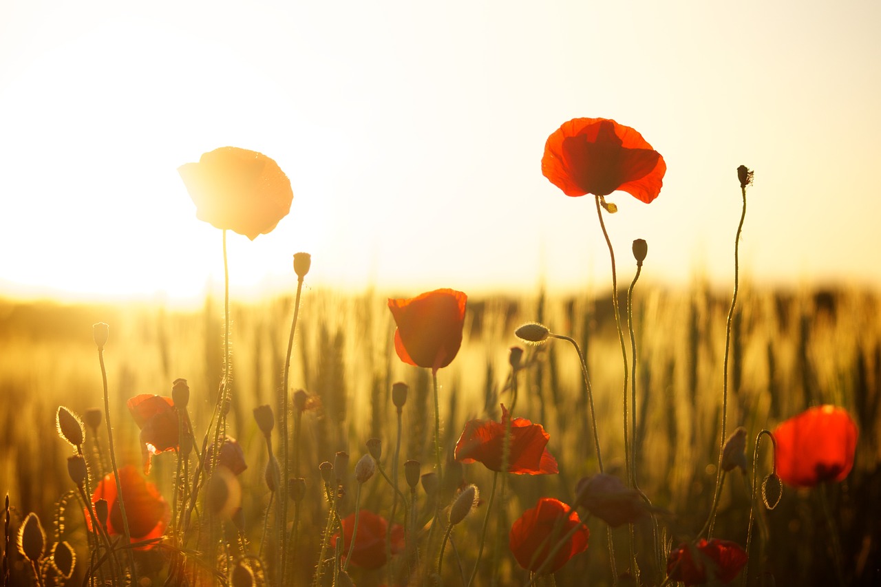 Nad morzem i na wsi - 6 miejscowości, które idealnie definiują wypoczynek sunset 174276 1280 - Nad morzem i na wsi - 6 miejscowości, które idealnie definiują wypoczynek