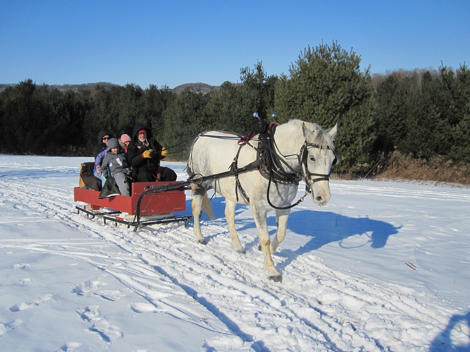 horse 97344 960 720 - W góry bez nart - co robić, gdzie jechać?