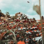 zuza reinhard 4I5 jFYCrNg unsplash 150x150 - Tour Salon - wybierz dobry kierunek