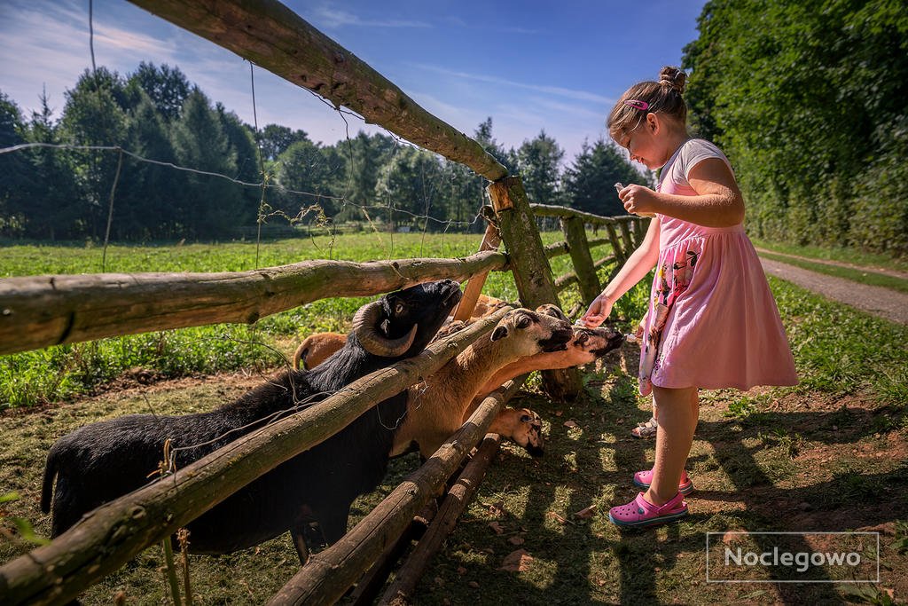 380737 23 lubawka eko bajka domki w gorach - Wakacje na eko farmie - nowoczesna ekoturystyka