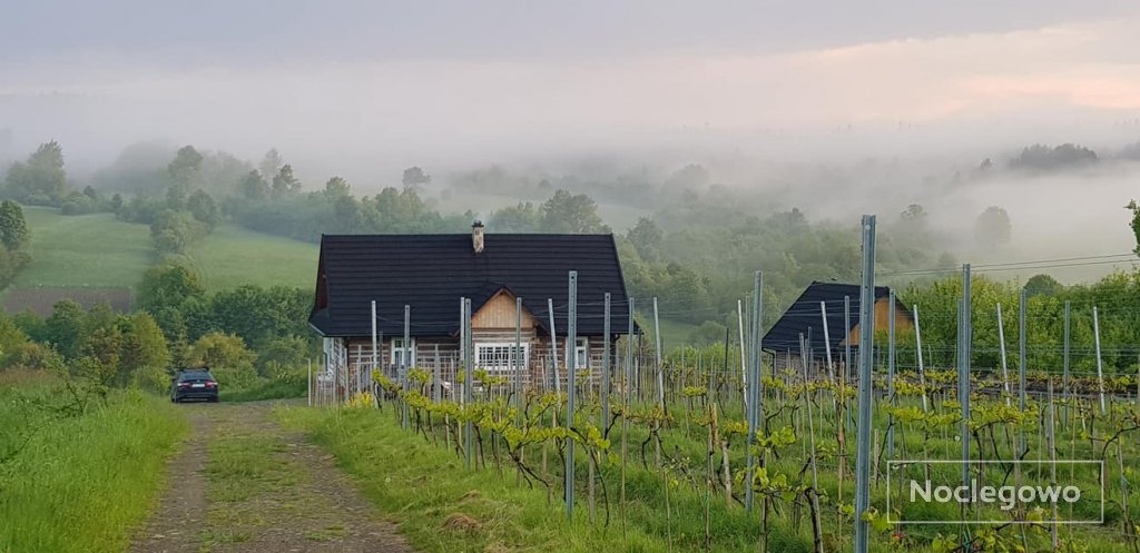 496636 678 nowica beskid niski na wyciagniecie reki - TOP 3 kierunki na wrzesień last minute w Polsce
