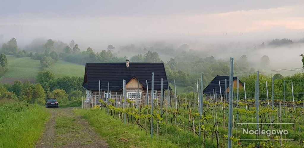 496636 678 nowica beskid niski na wyciagniecie reki - TOP5: winnice w Polsce z noclegiem i degustacją