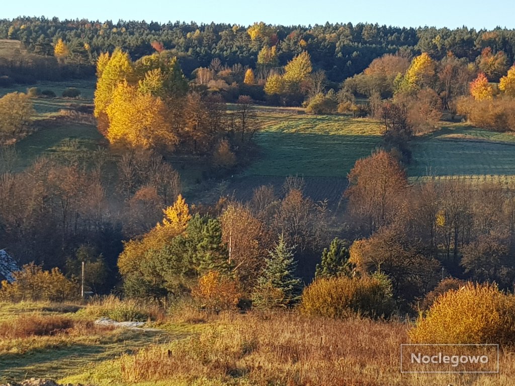 496650 8 nowica beskid niski na wyciagniecie reki - TOP5: winnice w Polsce z noclegiem i degustacją