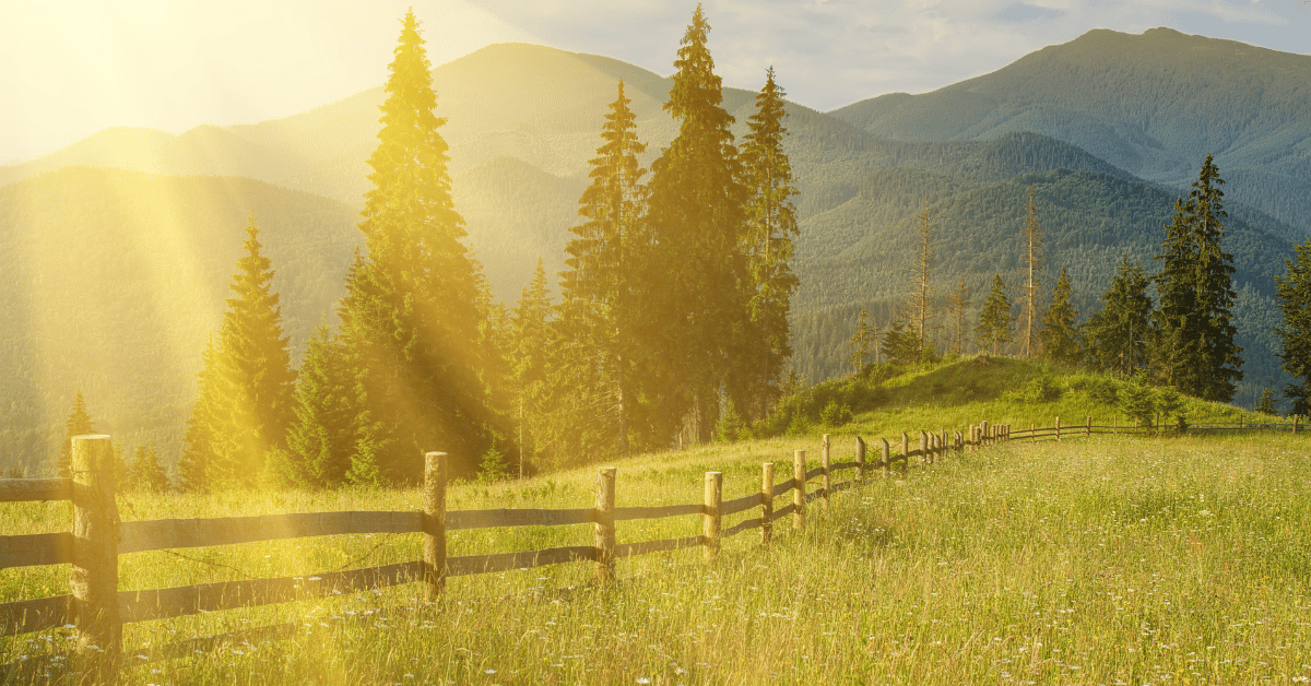 Jakie prognozy na lato 2025?