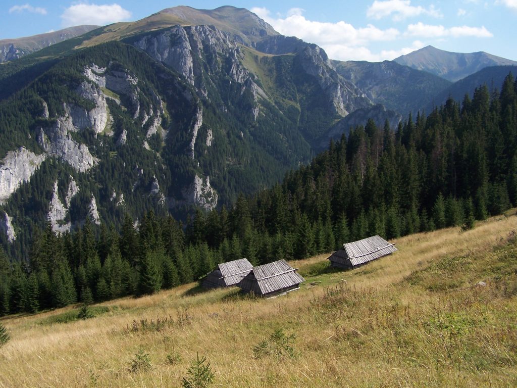 Ciemniak a9 1024x768 - Tatry Zachodnie - 5 miejsc bez tłumów w Tatrach