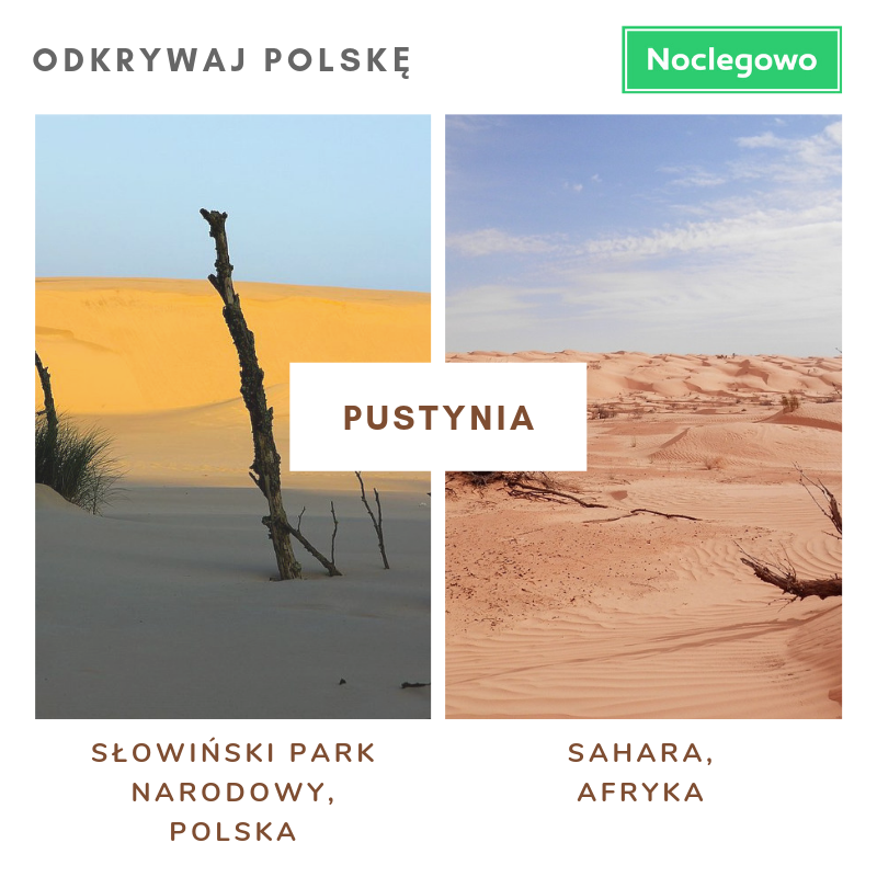 Kopia odkrywaj polskę 5 - Olśniewające miejsca w Polsce, które wyglądają jak zagraniczne.
