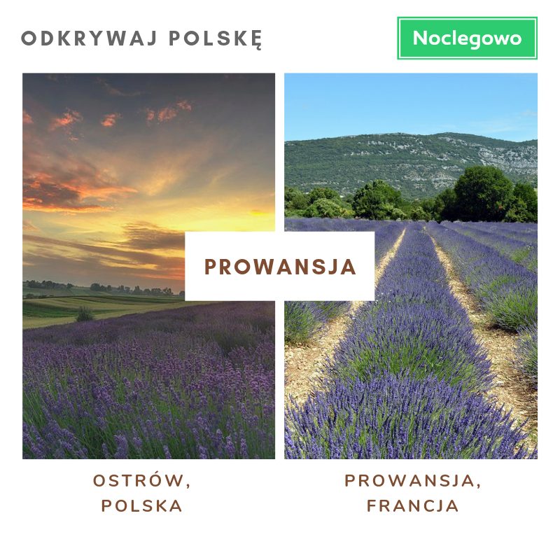 Olśniewające miejsca w Polsce, które wyglądają jak zagraniczne. Kopia odkrywaj polskę - Olśniewające miejsca w Polsce, które wyglądają jak zagraniczne.