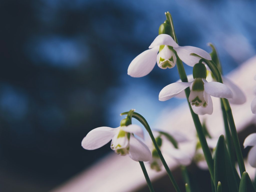 Pogoda na Wielkanoc 2022. Będzie ciepło? aaron burden 03e5uXAVbQs unsplash 1024x768 - Pogoda na Wielkanoc 2022. Będzie ciepło?