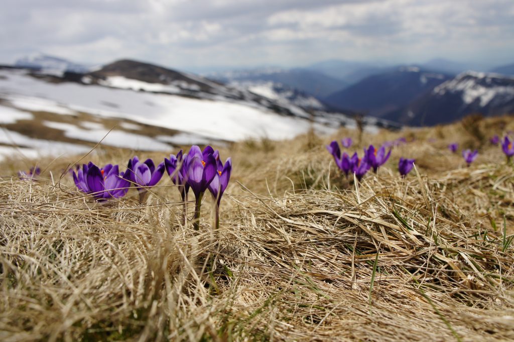 Pogoda na Wielkanoc 2022. Będzie ciepło? biegun wschodni ZloDJXzcMGA unsplash 1024x681 - Pogoda na Wielkanoc 2022. Będzie ciepło?