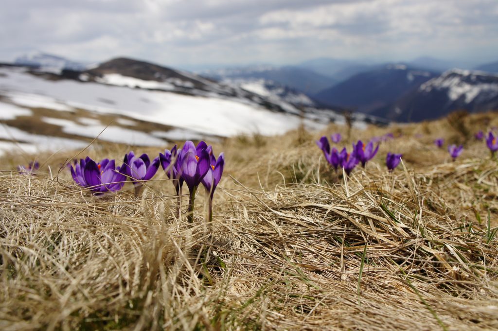 biegun wschodni ZloDJXzcMGA unsplash 1024x681 - Pogoda na Wielkanoc 2022. Będzie ciepło?