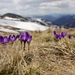 biegun wschodni ZloDJXzcMGA unsplash 150x150 - City break zamiast Blue Monday - sprawdź, gdzie warto się wybrać