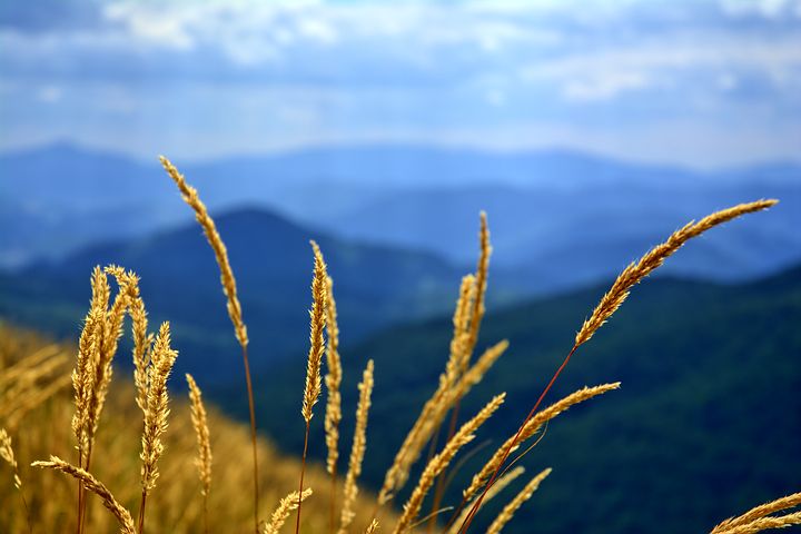 bieszczady 1002431  480 - Bon turystyczny w górach. Gdzie jechać na Podkarpacie z dziećmi?