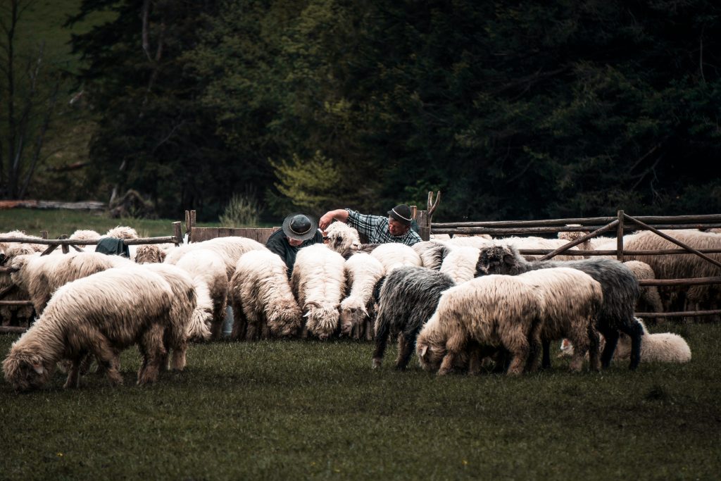 Miasta z atrakcjami popularne w 2021 - TOP10 na Noclegowo chris rosiak xUvDO1jf0UM unsplash 1024x683 - Miasta z atrakcjami popularne w 2021 - TOP10 na Noclegowo