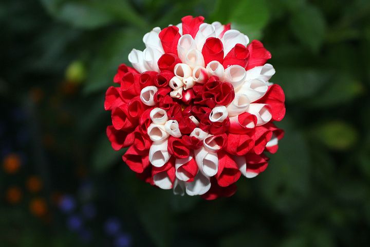 Dzień wolny za 15 sierpnia 2020. Czy przysługuje nam odbiór za święto w sobotę? dahlias 2838320 480 - Dzień wolny za 15 sierpnia 2020. Czy przysługuje nam odbiór za święto w sobotę?