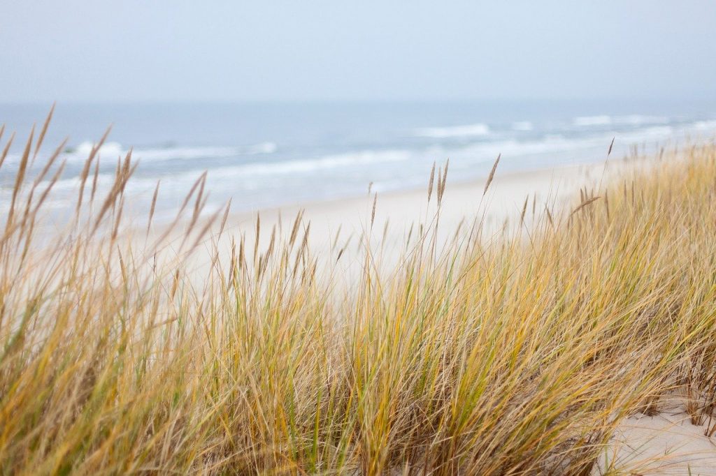 dunes 1936086 1280 1024x682 - Wakacje inaczej - Bursztynowe Wybrzeże dla każdego