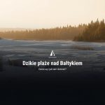 Święto Toruńskiego Piernika dzikie plaze baltyk 2026 150x150 - Święto Toruńskiego Piernika