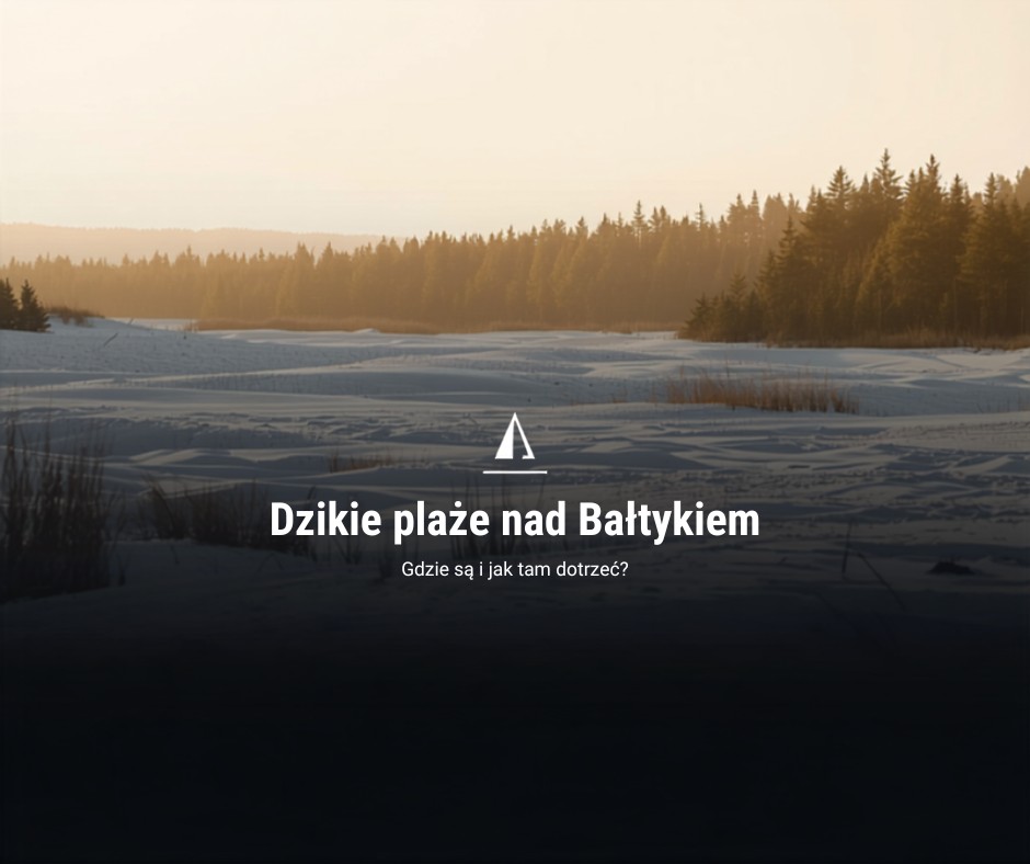 Gdzie są dzikie plaże nad Bałtykiem? Przewodnik 2026